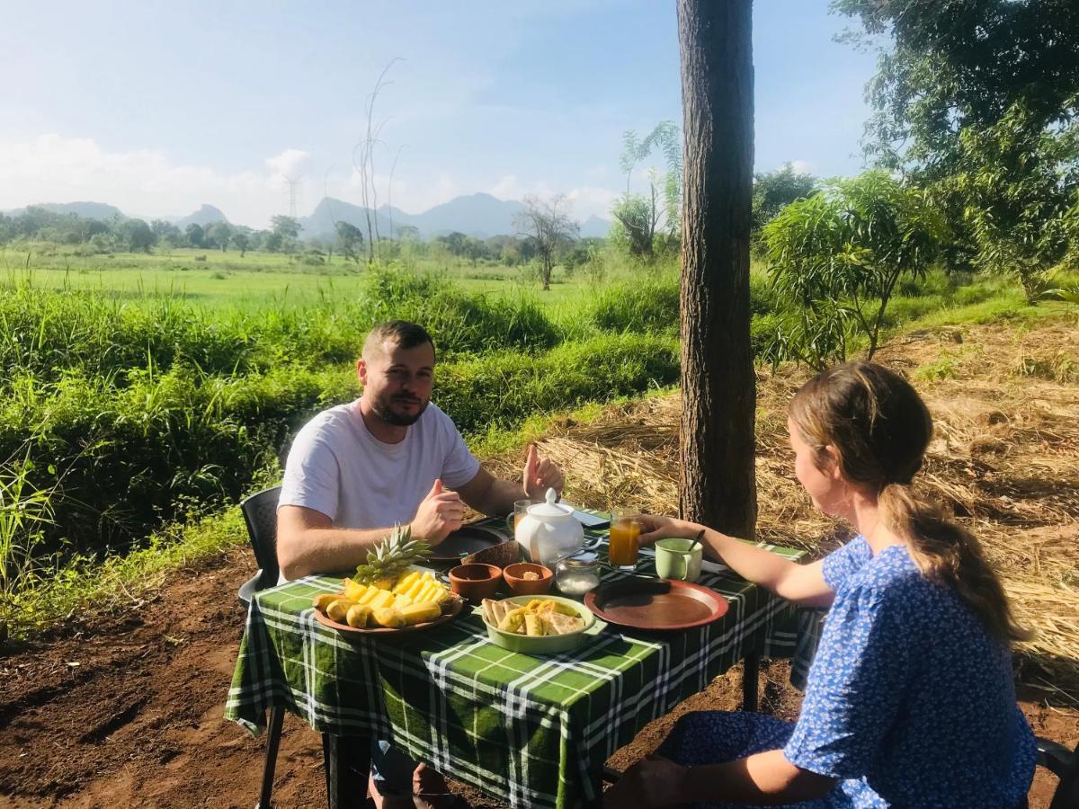 The Wild Culture Hotel Sigiriya Bagian luar foto